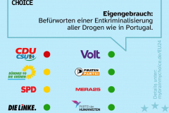 EU-2024-WPS-My-Brain-My-Choice-Initiative_Seite_1