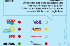 EU-2024-WPS-My-Brain-My-Choice-Initiative_Seite_3