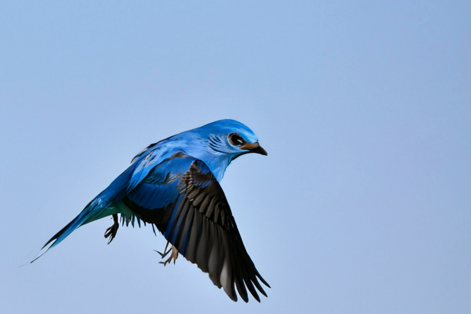 AI-generiertes Bild in trüber Stimmung von einem blauen Vogel, der wegfliegt.