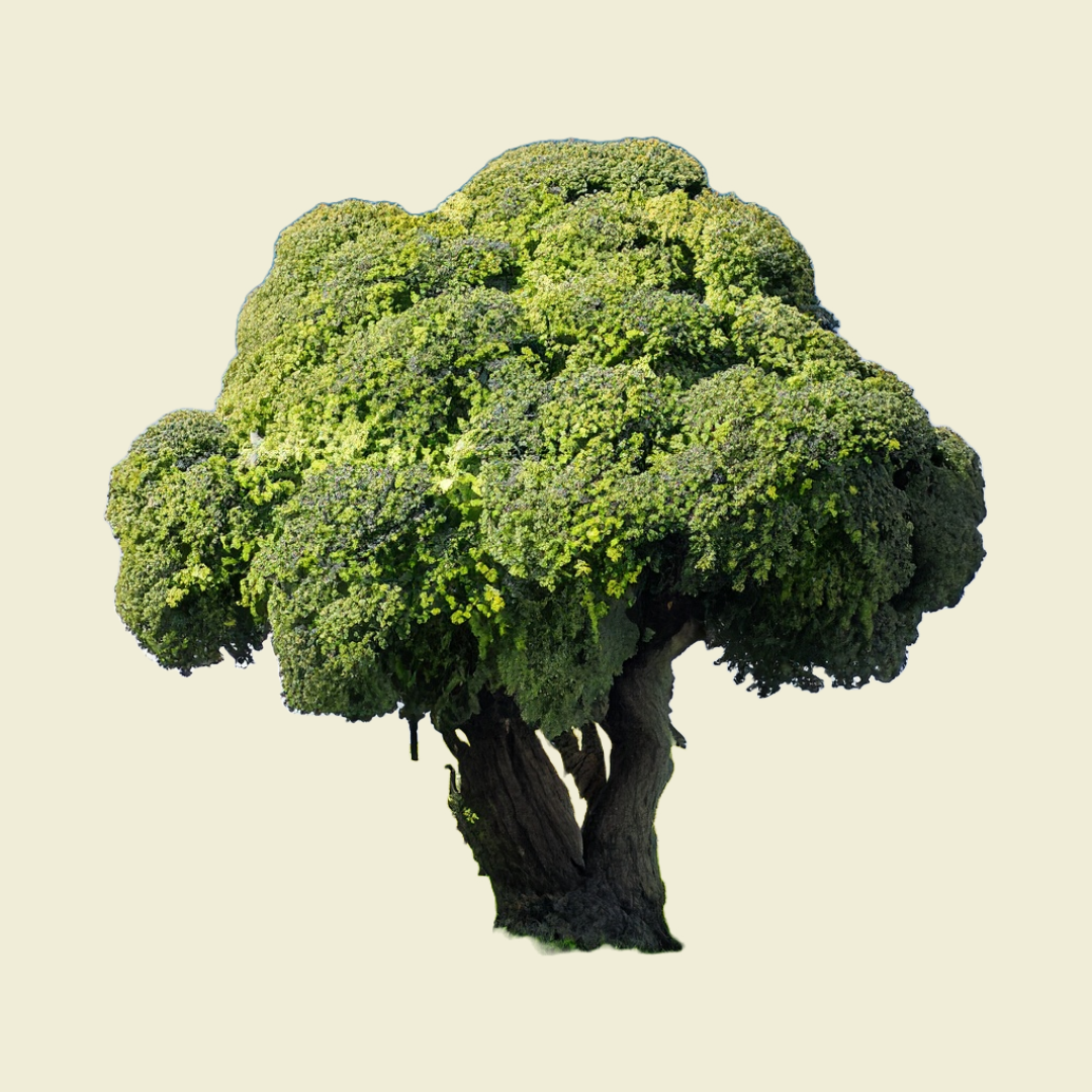 Ein AI-generiertes Bild. Eine Kombination aus einem Baum und einem Brokkoli.