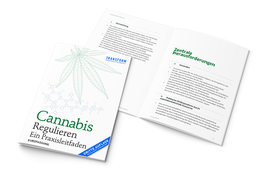 Das Bild zeigt die 22-seitige Broschüre: Die Kurzfassung des Praxisleitfadens Cannabis Regulieren