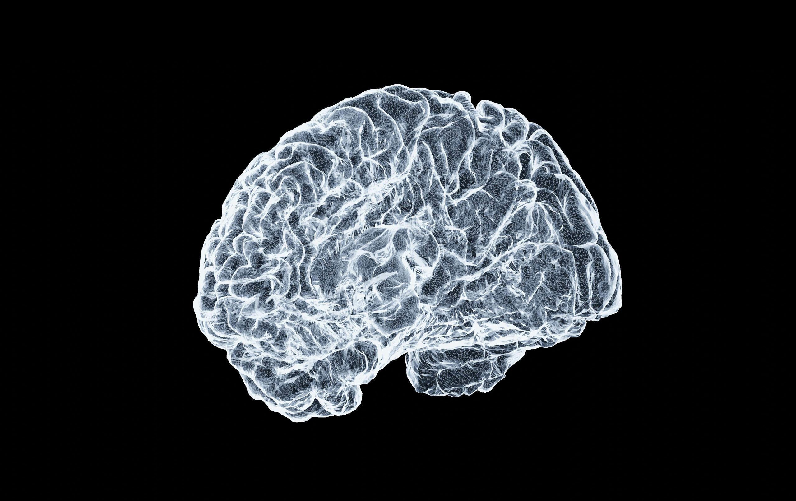 Der Scan eines Hirns in weiß auf schwarzem Hintergrund.